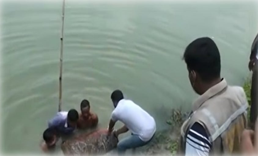 সিমেন্টে ঢালাই করা ড্রামে চাপা ছিল হত্যার রহস্য