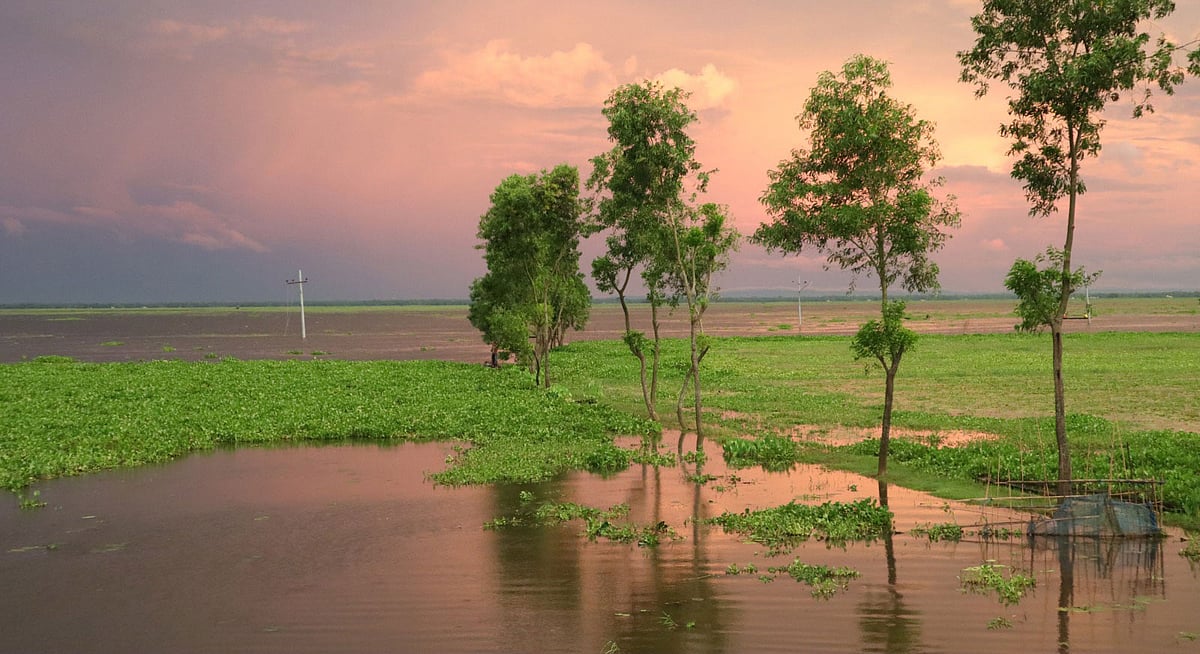 বর্ষায় জলের ক্যানভাসে কাউয়াদীঘি হাওর