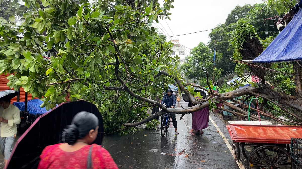 চট্টগ্রামে ঝড়ের তাণ্ডব: সড়কে গাছ, দুর্ভোগে নগরবাসী