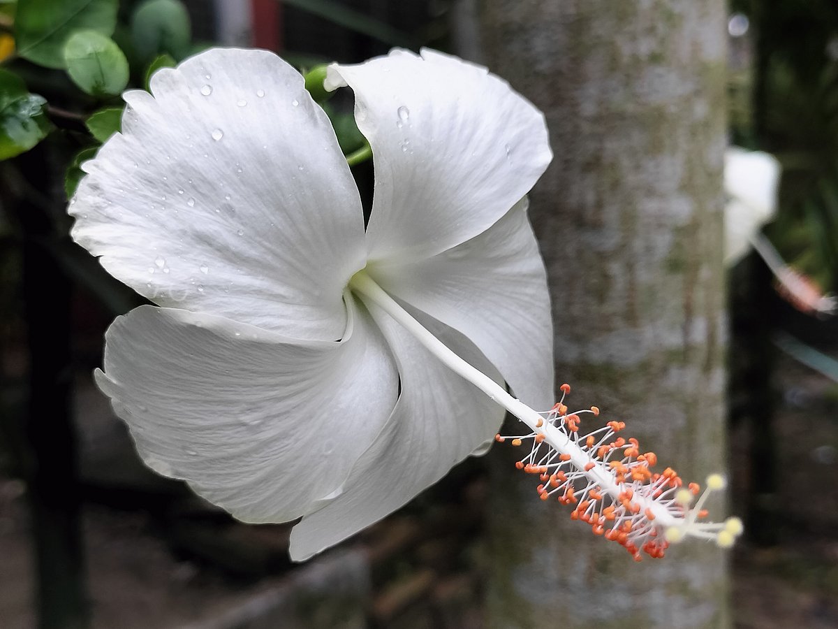 ছবি: সাজেদুল আলম