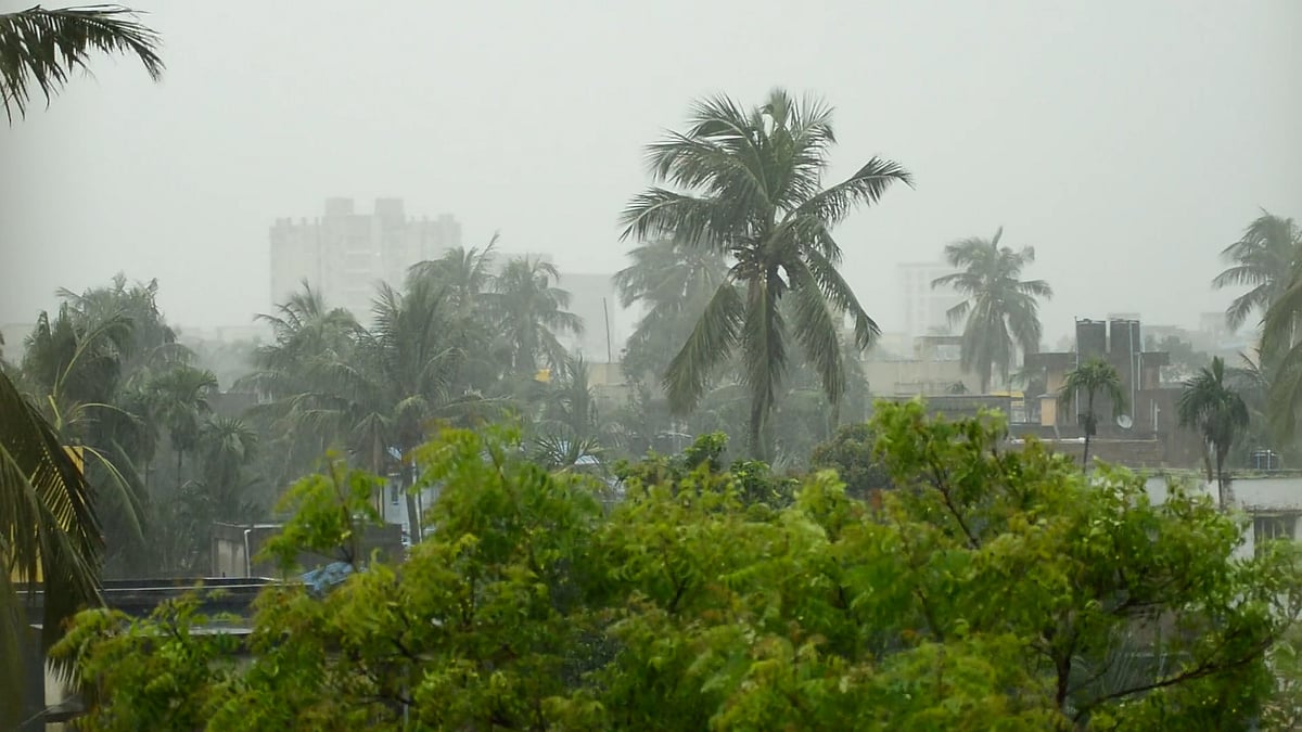 টানা বৃষ্টি নিয়ে আবহাওয়ার পূর্বাভাস কী বলছে