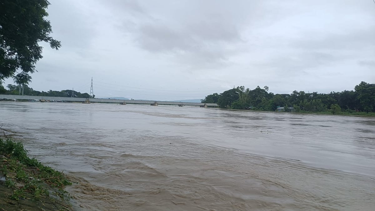 সাঙ্গু নদে ভেসে আসা কাঠ সংগ্রহ করছিলেন যুবদল কর্মী, নৌকা থেকে পড়ে নিখোঁজ