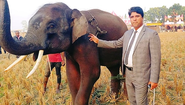 হাতি ‘রাজু বাহাদুরের’ চিকিৎসায় প্রধানমন্ত্রীর হস্তক্ষেপ চান মালিক