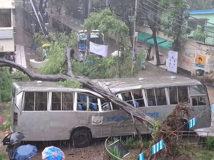 টানা বৃষ্টির মধ্যে জগন্নাথ বিশ্ববিদ্যালয়ে বাসের ওপর উপড়ে পড়ল গাছ