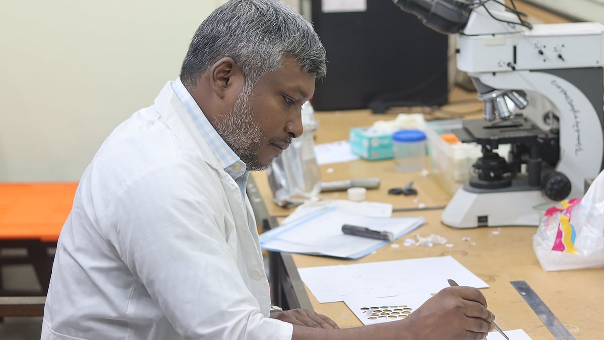 ছবি: ফাইয়াজ কৌশিক