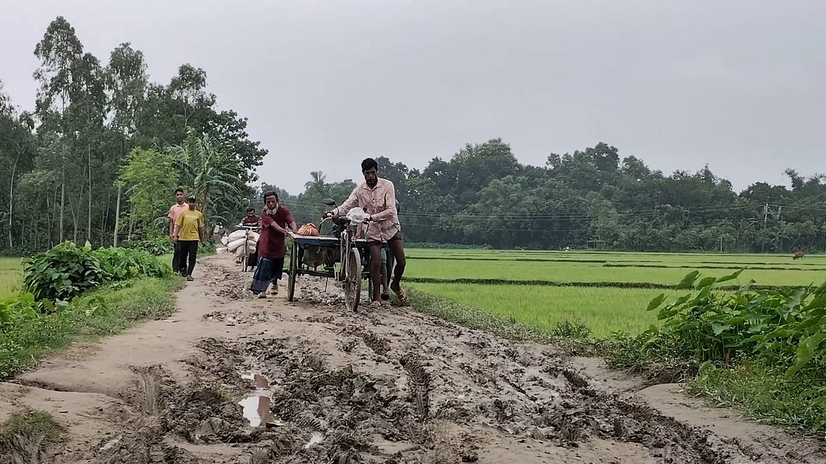 জিলাপি খাইয়ে সড়ক উদ্বোধন, এরপরই ইট চুরি