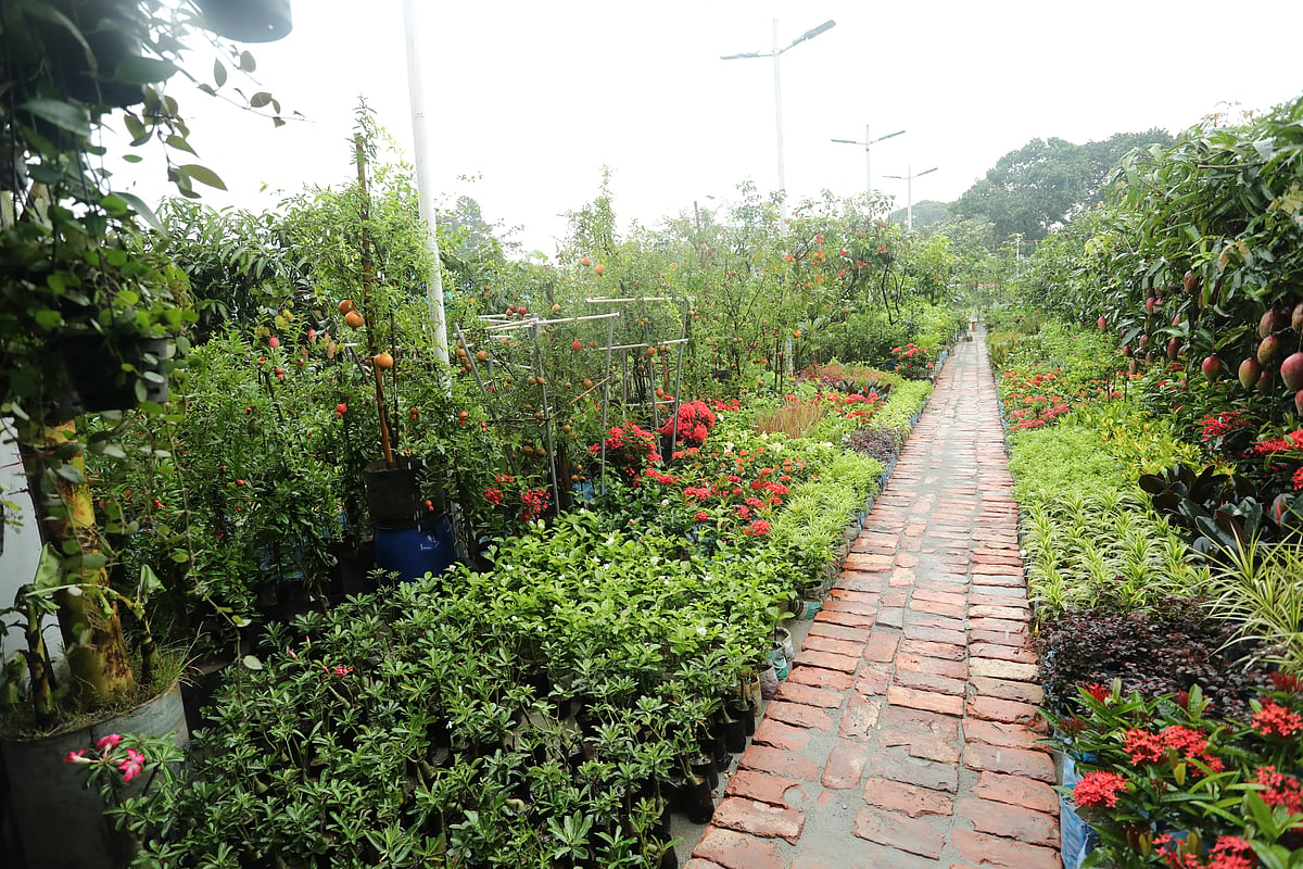 ছবি: সুমন ইউসুফ