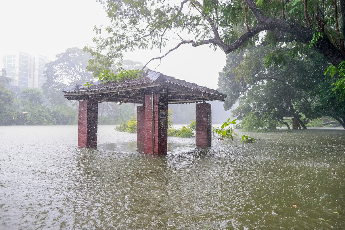 বৃষ্টিতে ভাসছে ধানমন্ডি লেক, ডুবেছে রবীন্দ্রসরোবর