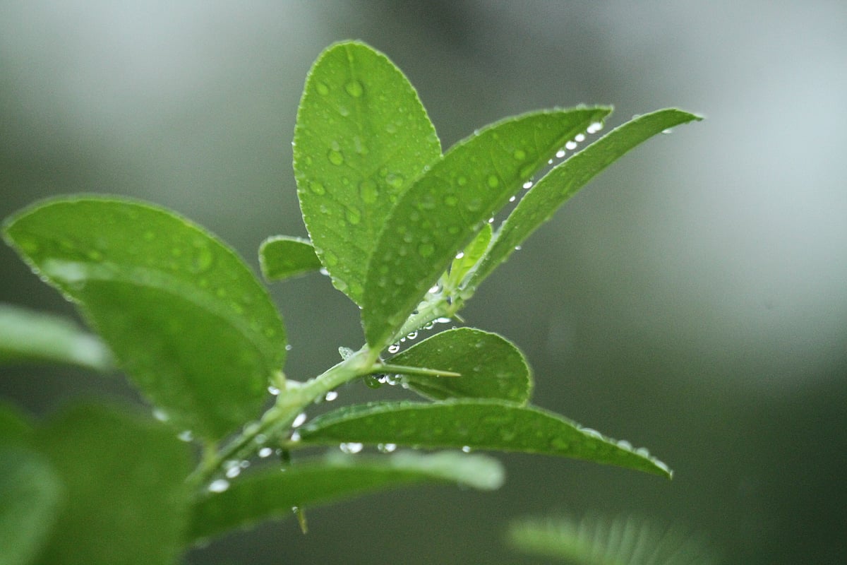 একঝলক (১৩ জুলাই ২০২৬)