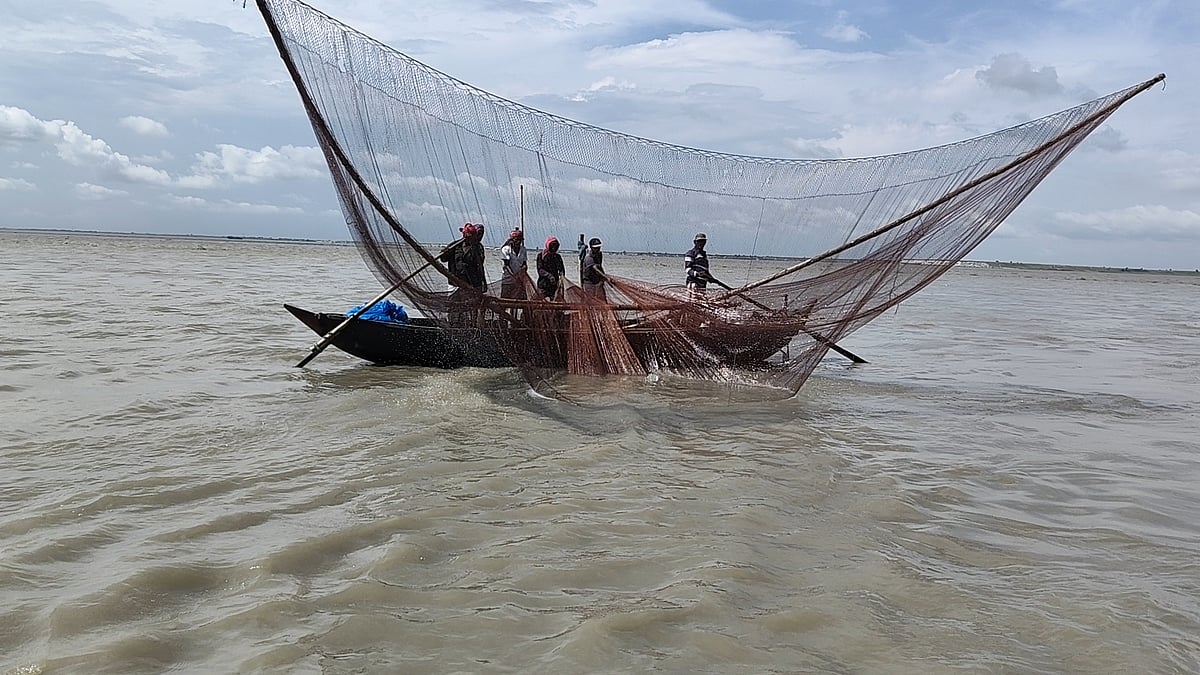 পদ্মায় ইলিশ শিকার