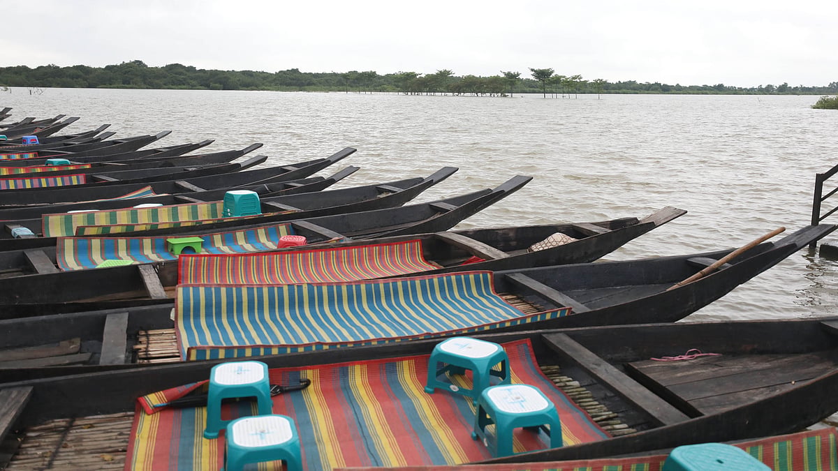 রাতারগুল জলাবনের ঘাটে সারিবদ্ধ পর্যটকবাহী নৌকা।