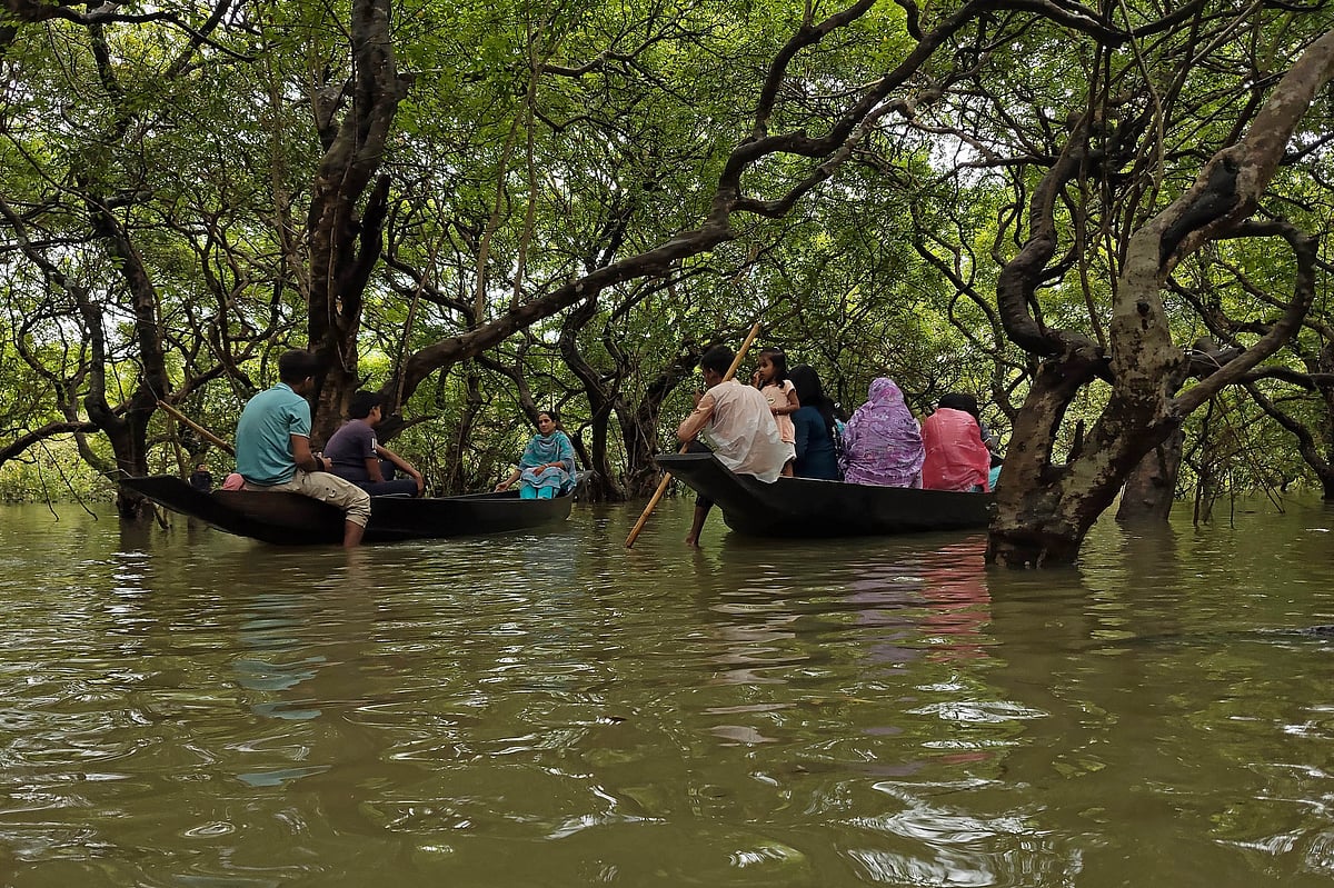 বর্ষায় জেগে ওঠে এই বনের প্রাণ