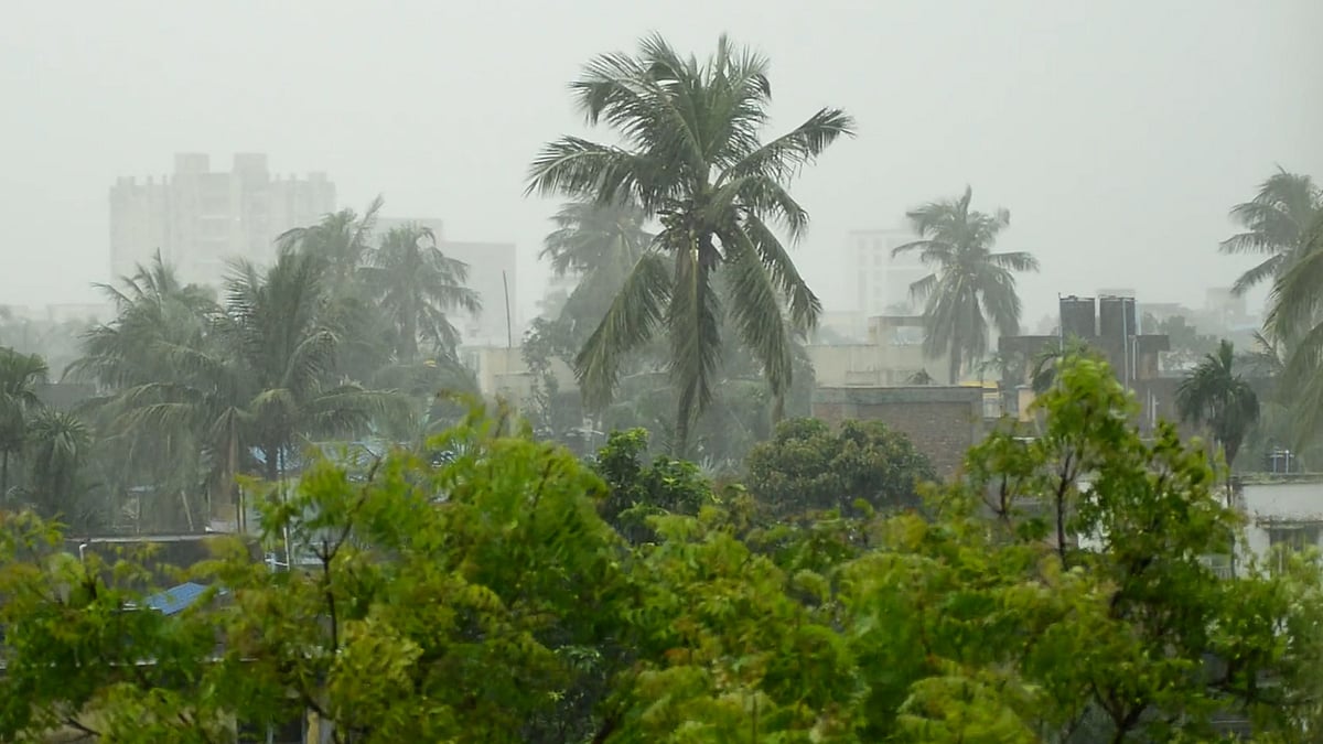 রোদের সঙ্গে বাড়ছে তাপমাত্রা, বৃষ্টি হবে কি না জানাল আবহাওয়া অফিস