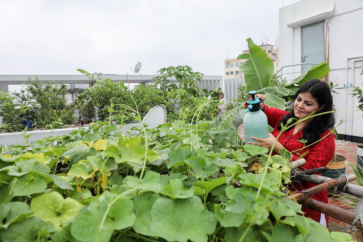 ছবি: সাবিনা ইয়াসমিন