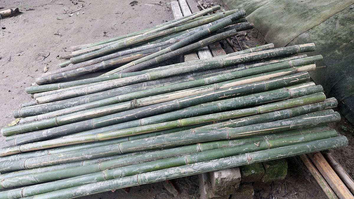 বাড়ির উঠানে কেটে টুকরা করে রাখা হয়েছে বাঁশ।