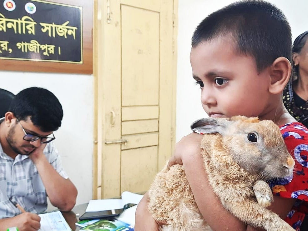 অসুস্থ খরগোশকে কোলে নিয়ে চিকিৎসকের কাছে পাঁচ বছরের সিনহা