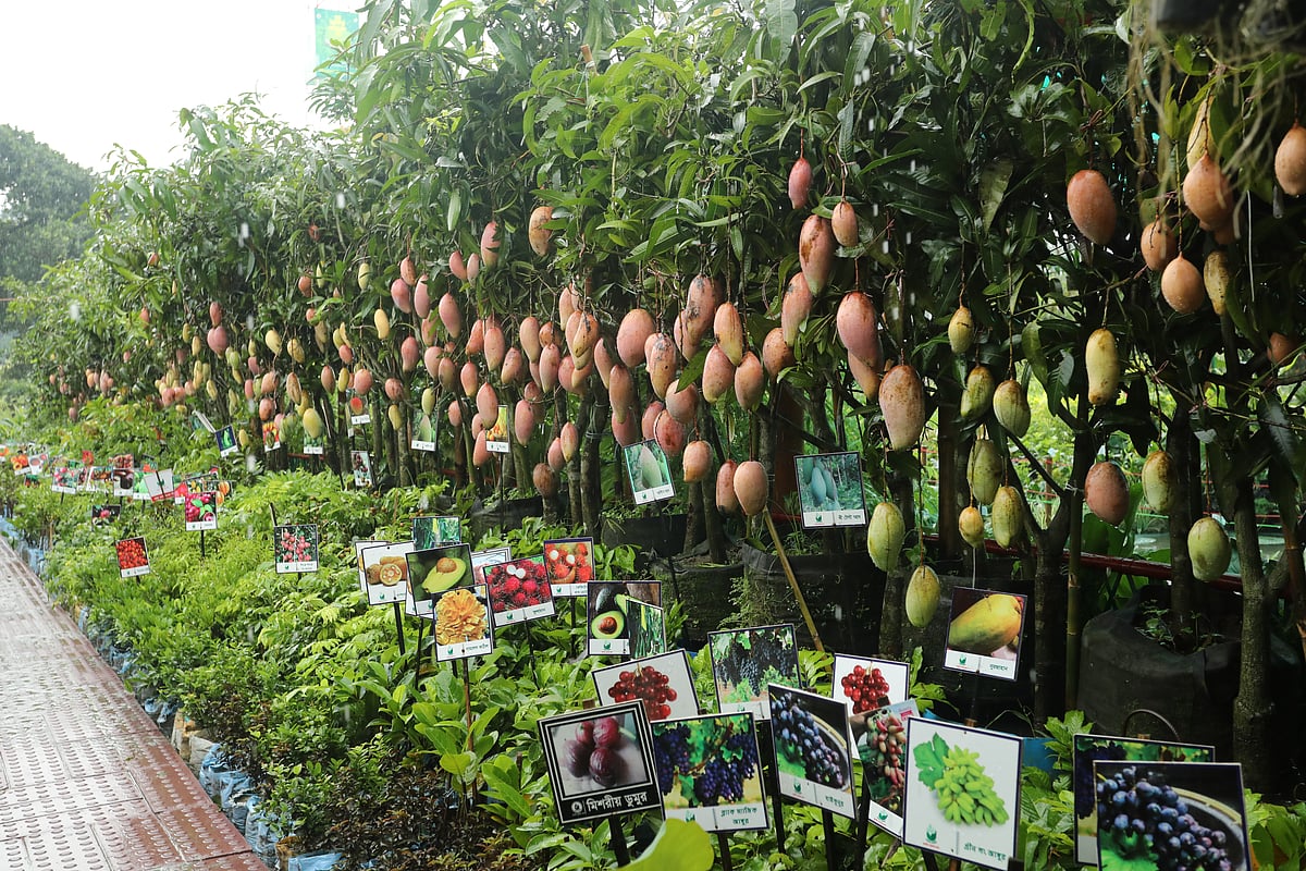 ছবি: সুমন ইউসুফ