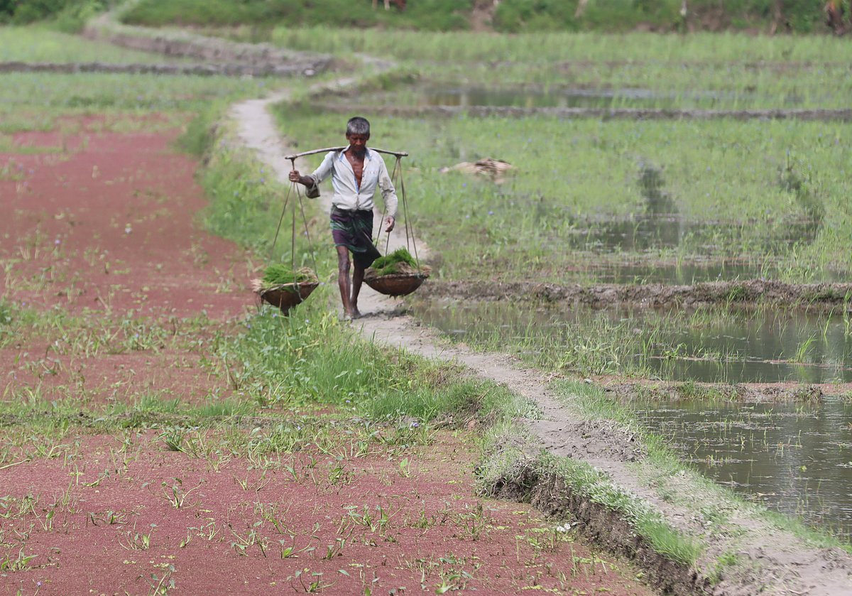 একঝলক (১৬ জুলাই ২০২৬)