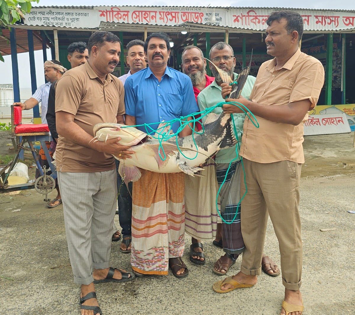 রাজবাড়ীতে দুটি বাগাড় বিক্রি হলো সোয়া লাখ টাকায়