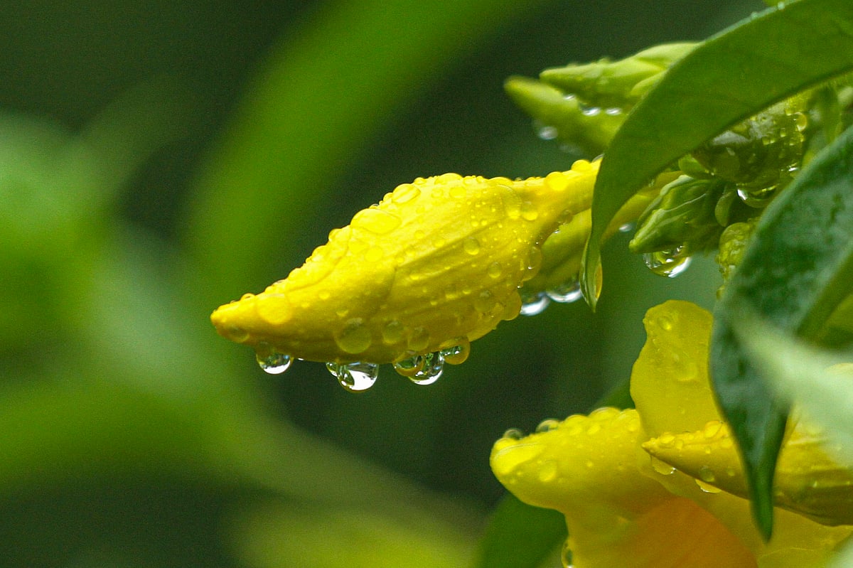 একঝলক (১৭ জুলাই ২০২৬)