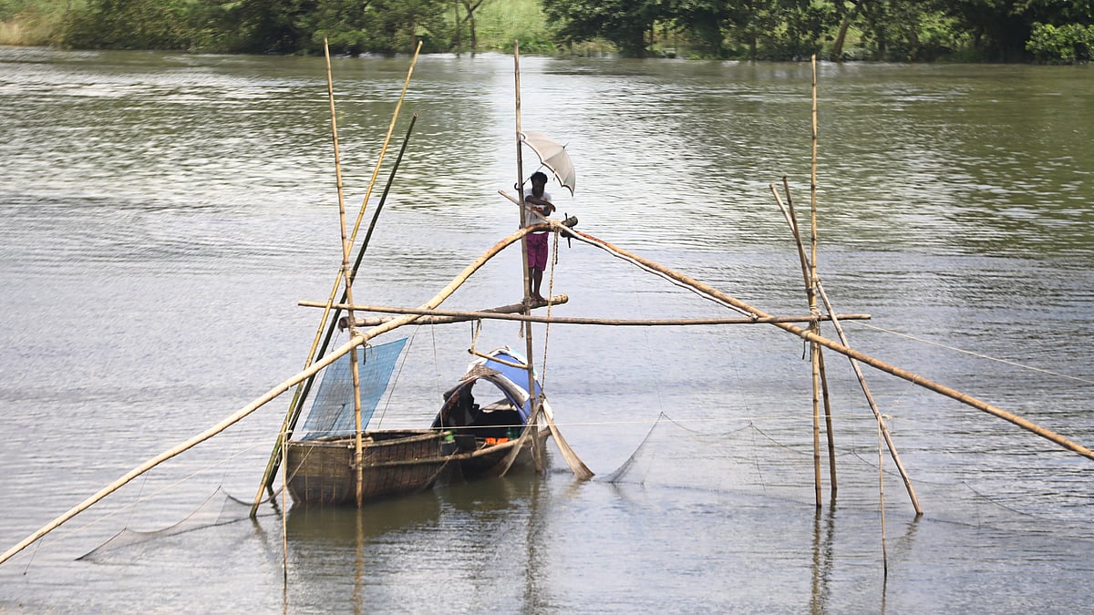 জাল পেতে মাছের অপেক্ষায় আছেন তিনি