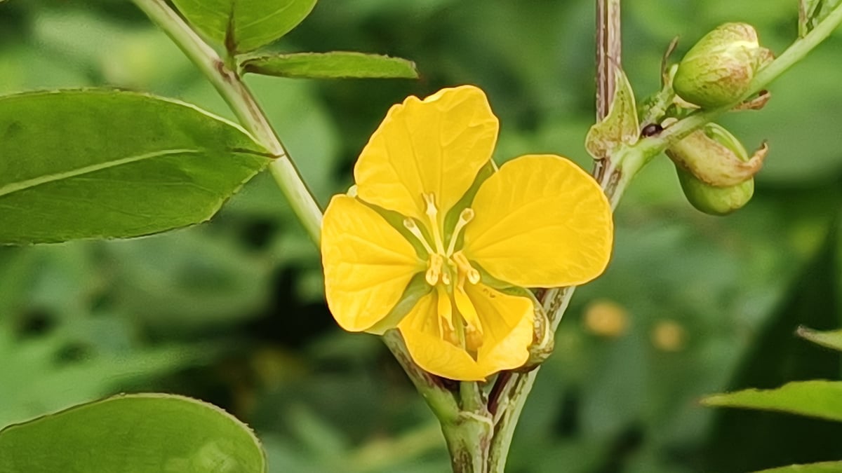 ছবি: আরিফুল গণি