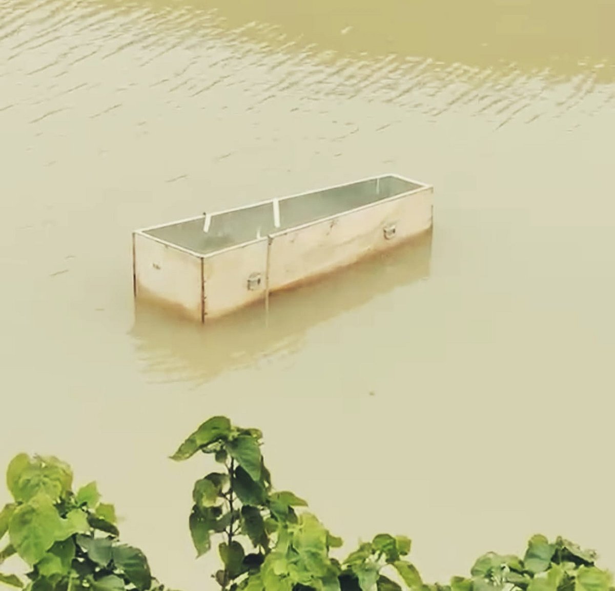 ময়মনসিংহে ব্রহ্মপুত্রে ভেসে এল কফিন, কৌতূহল–আতঙ্ক