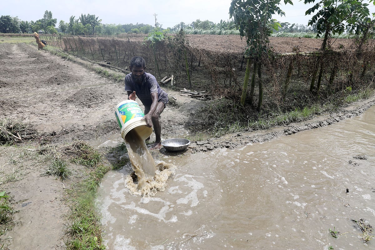 সবজিচাষিদের নতুন লড়াই