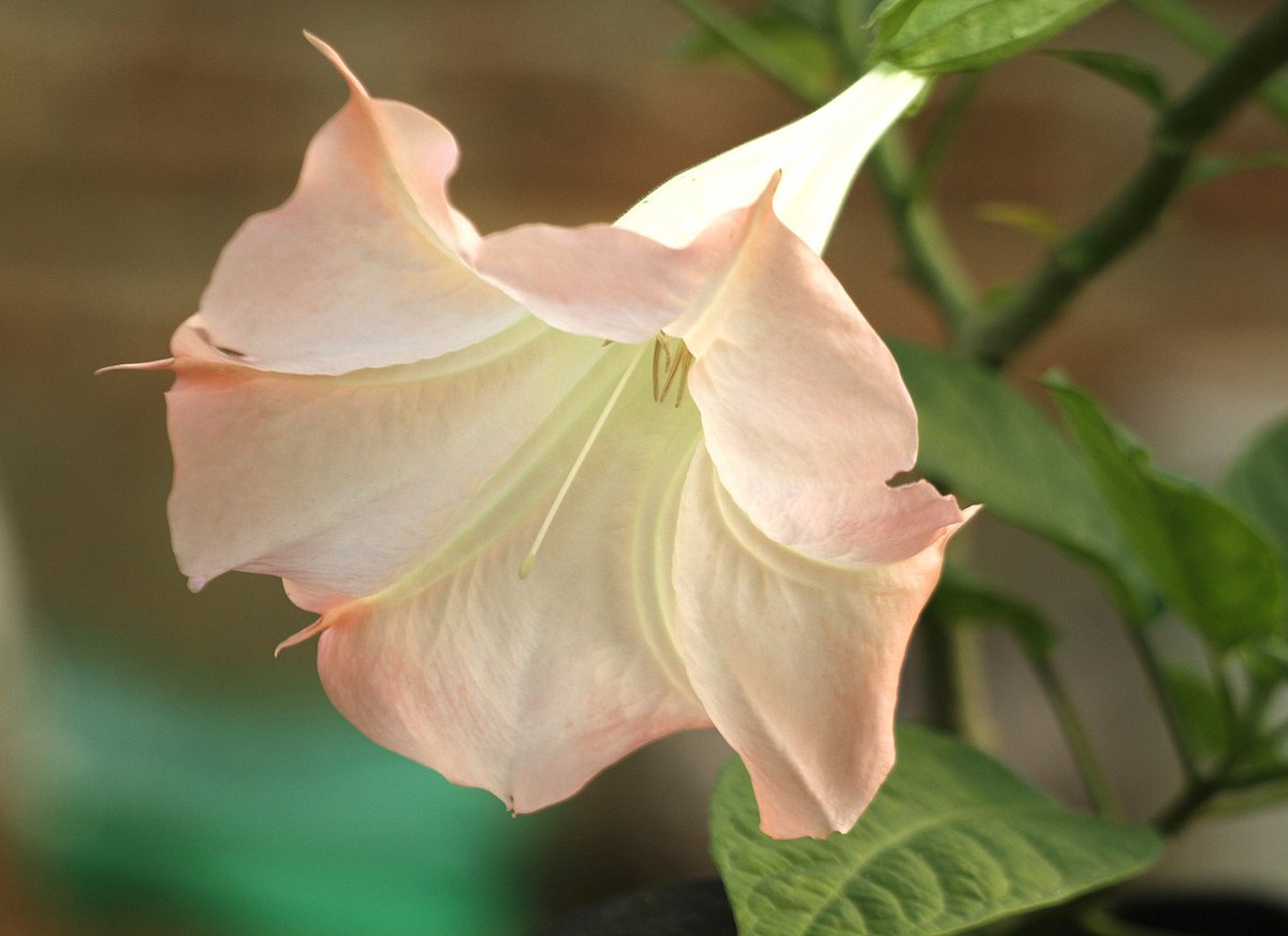 একঝলক (২৩ জুলাই ২০২৬)