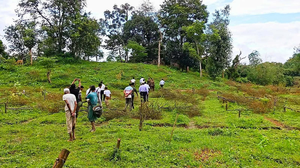 কেটে ফেলা হাজার গাছের সেই কমলাবাগান পরিদর্শন করল তদন্ত কমিটি