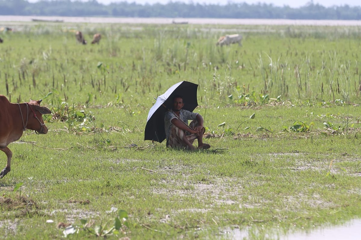 বর্ষায় তিস্তার চর