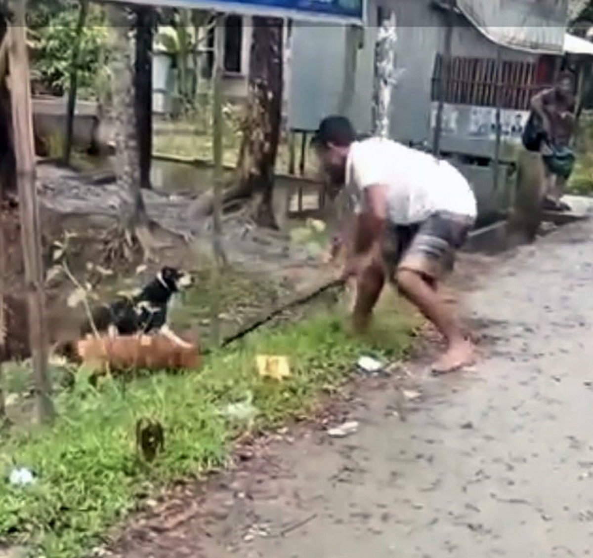 পটুয়াখালীতে কুকুর পিটিয়ে হত্যার ঘটনায় আদালতে মামলা, আসামিদের গ্রেপ্তারের নির্দেশ
