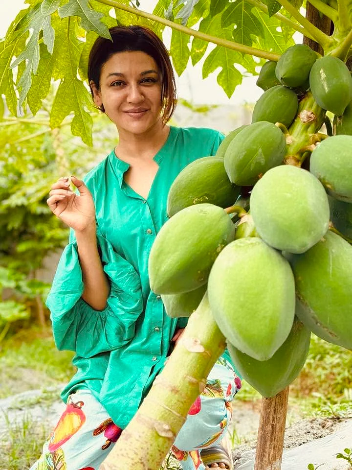 prothomalo-bangla%2F2026-07-26%2Fgevrkadz%2F515503906_2919336038252807_7288326124322947278_n.jpg?w=1536&auto=format%2Ccompress&fmt=webp