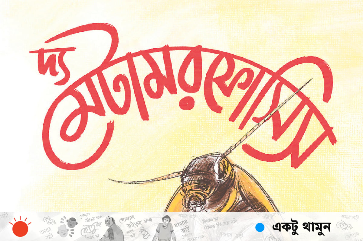 দ্য মেটামরফোসিস দ্য মেটামরফোসিস