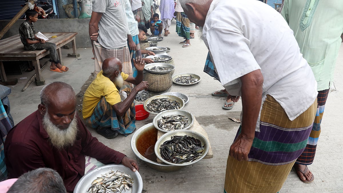বিল ও জলাশয় থেকে ধরা বিভিন্ন প্রজাতির টাটকা মাছ পাত্রে নিয়ে সড়কজুড়ে বিক্রেতাদের সারি।