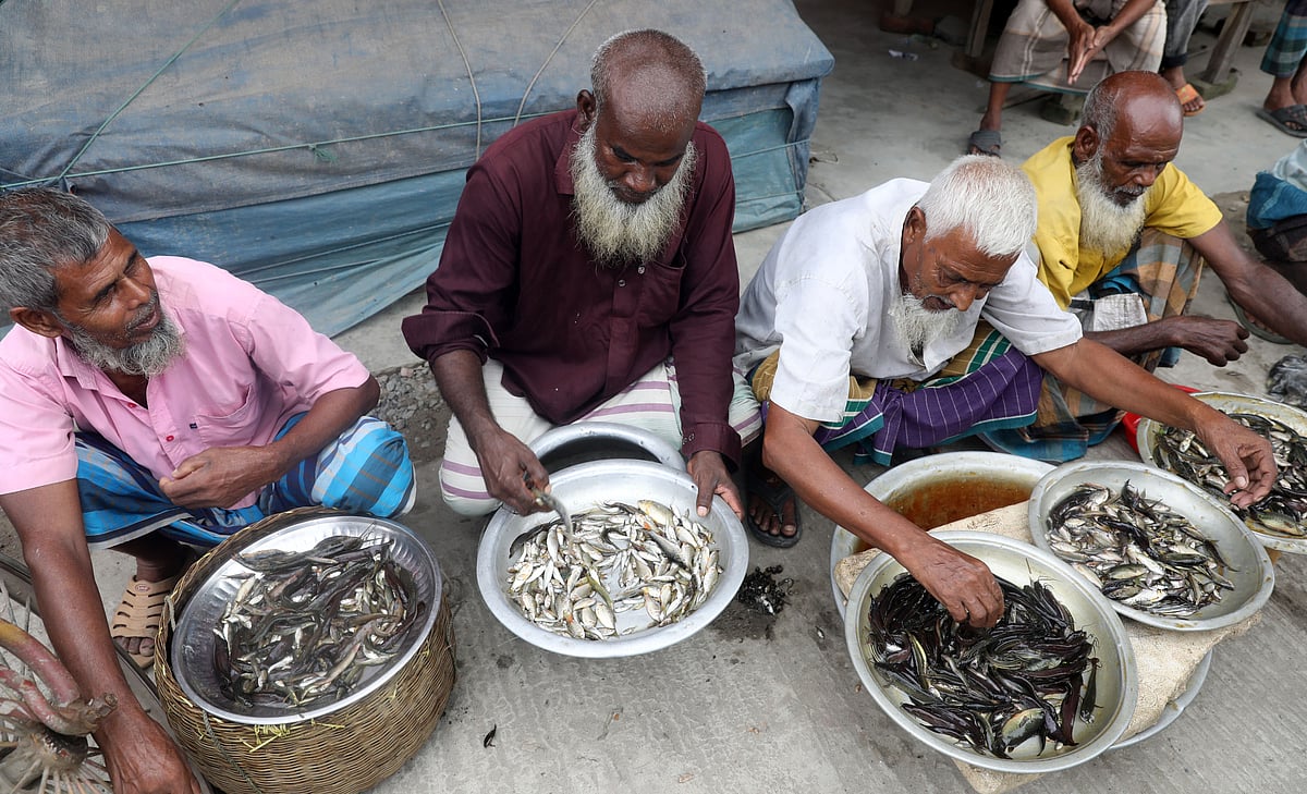 সড়কে এক বাজার, দেশি মাছের সম্ভার