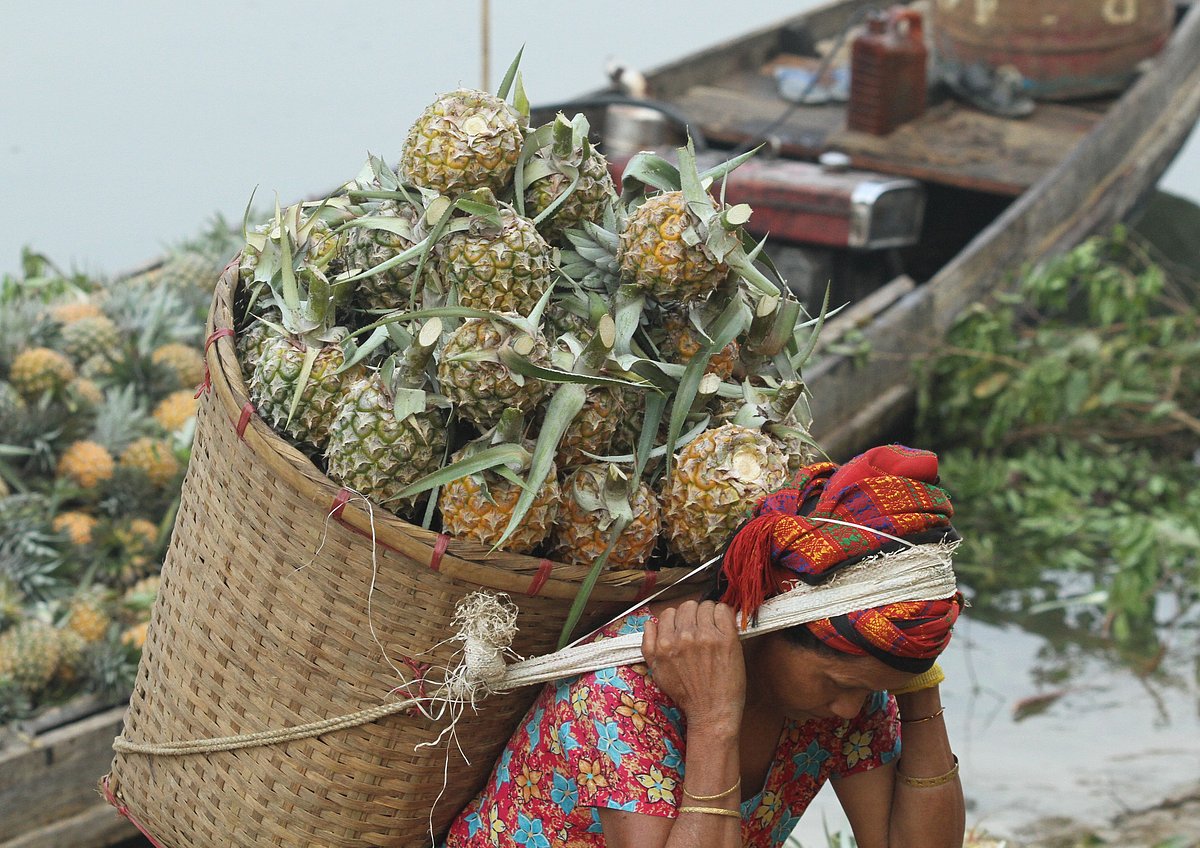 একঝলক (২৮ জুলাই ২০২৬)