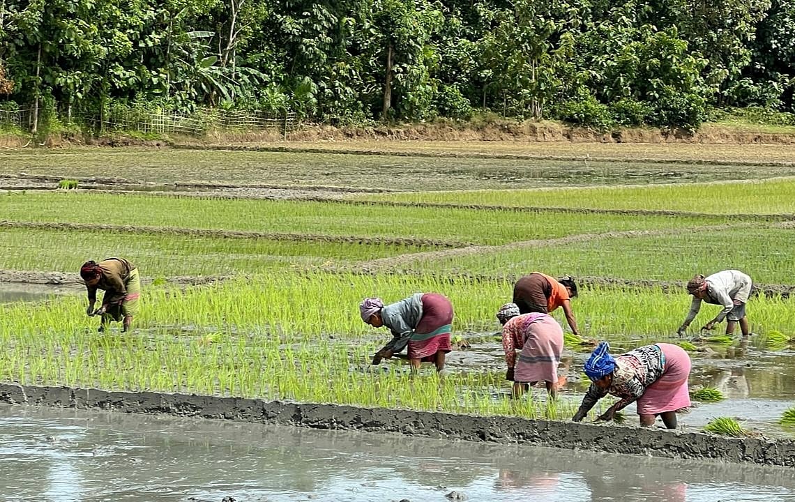 একঝলক (২৯ জুলাই ২০২৬)