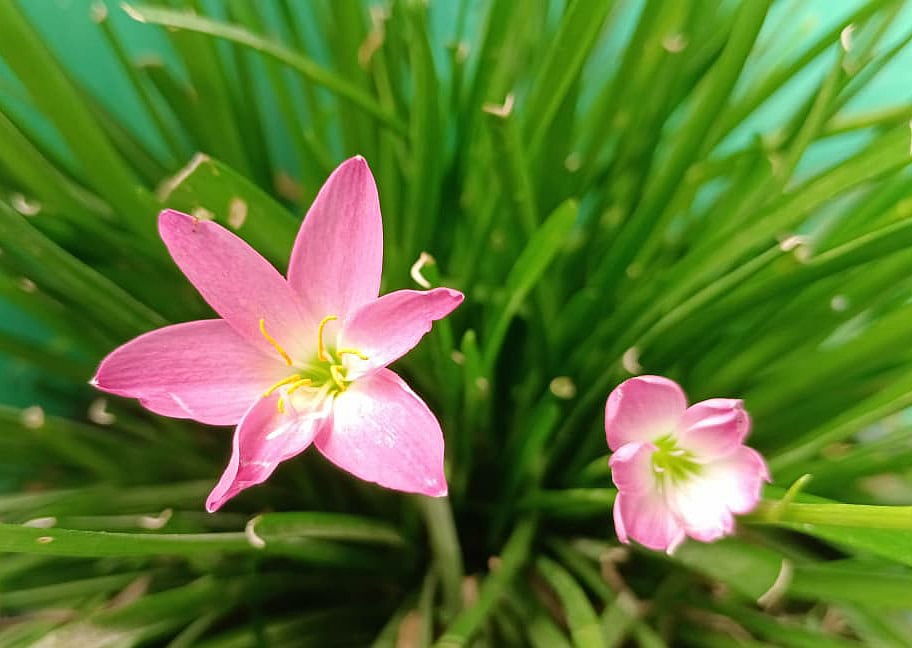 একঝলক (৩০ জুলাই ২০২৬)