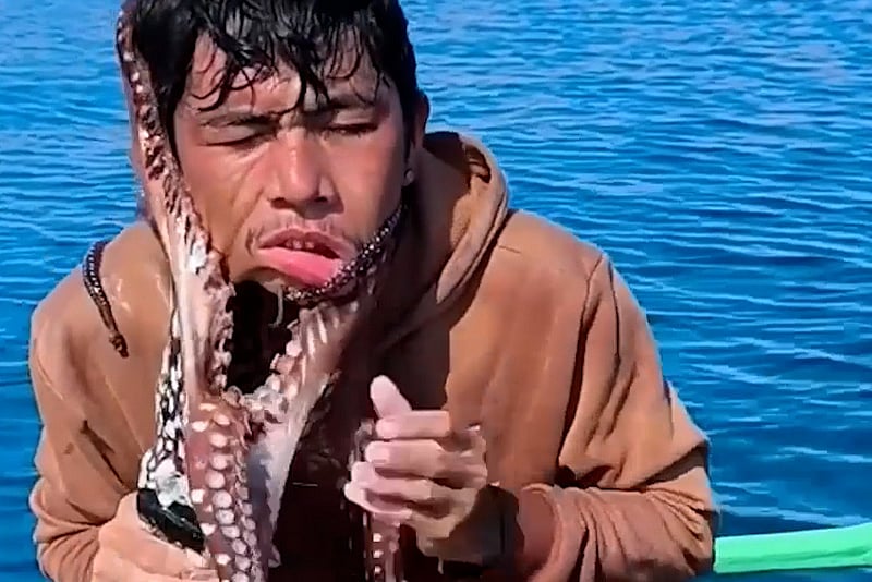 মুখ আঁকড়ে ধরা অক্টোপাসের সঙ্গে জেলের লড়াই