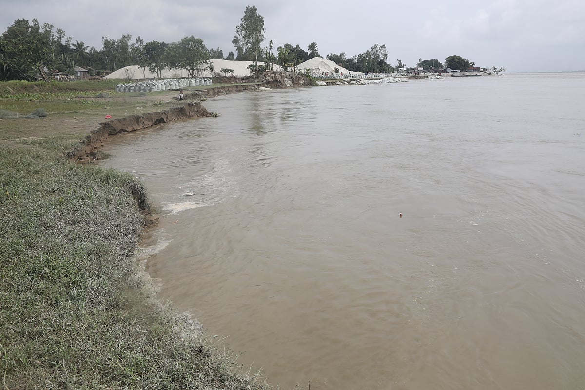 যমুনার তীব্র ভাঙনে ধসে পড়েছে বগুড়ার শহড়াবাড়ী স্পারের একাংশ