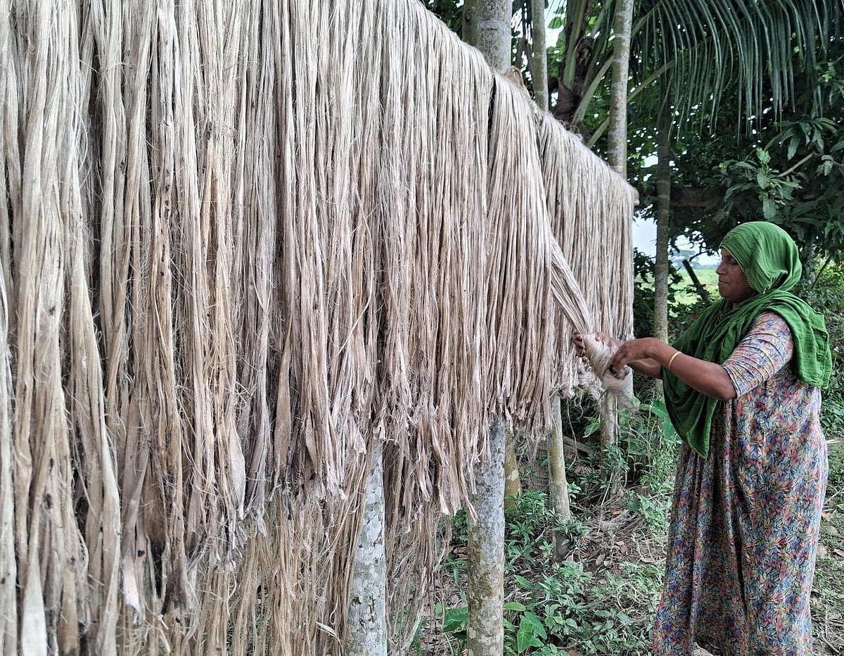 সোনালি আঁশে কৃষকের স্বপ্ন