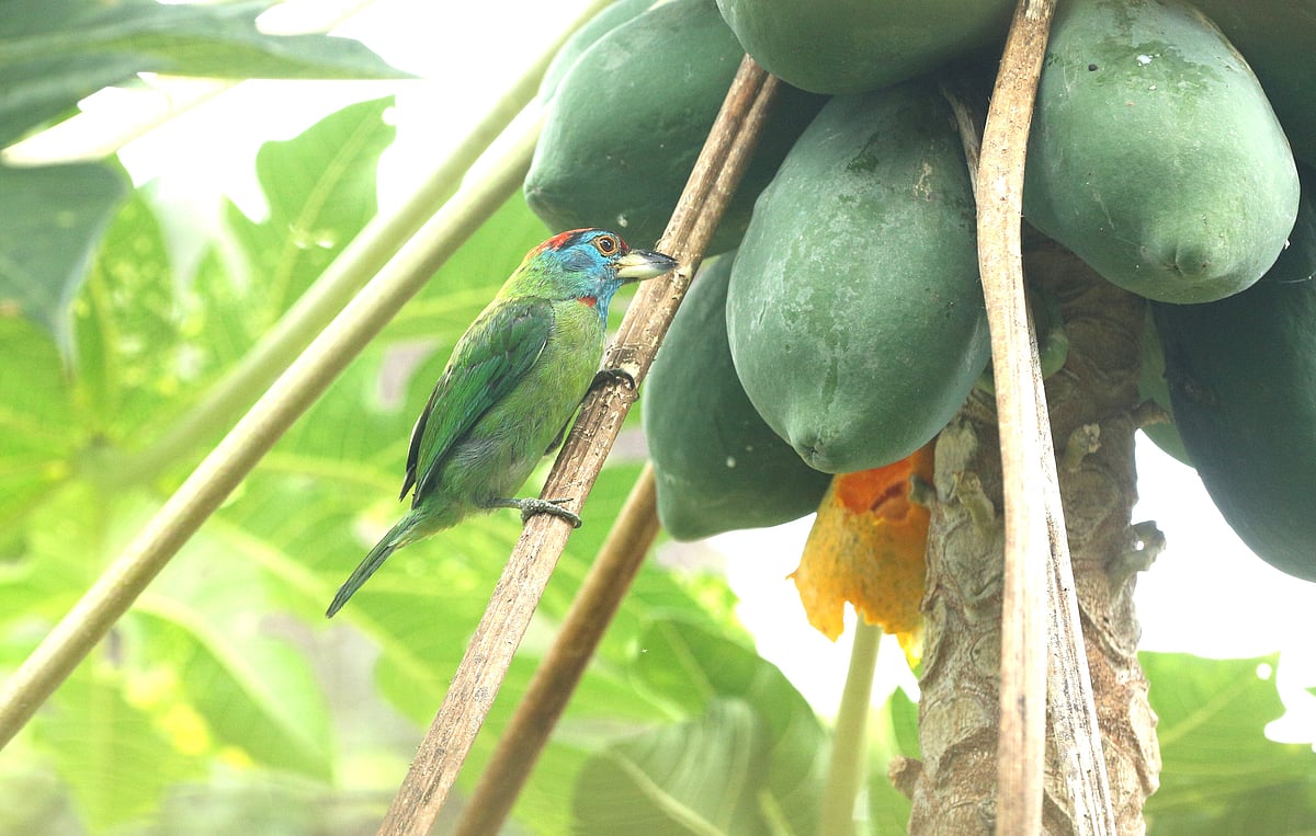 একঝলক (১ আগস্ট ২০২৬)