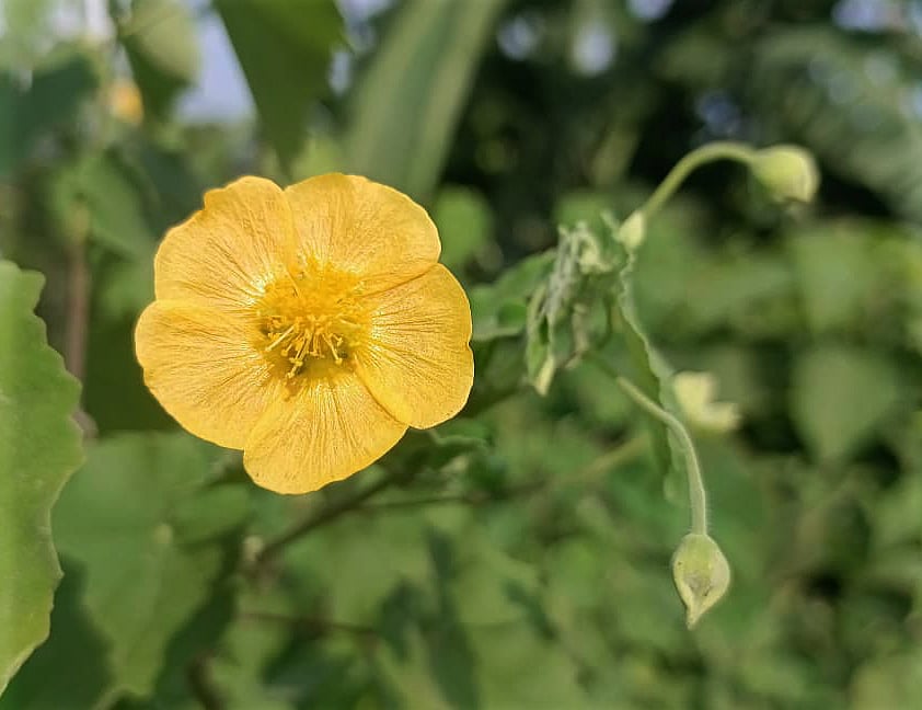 ছবি: মোস্তাফিজুর রহমান