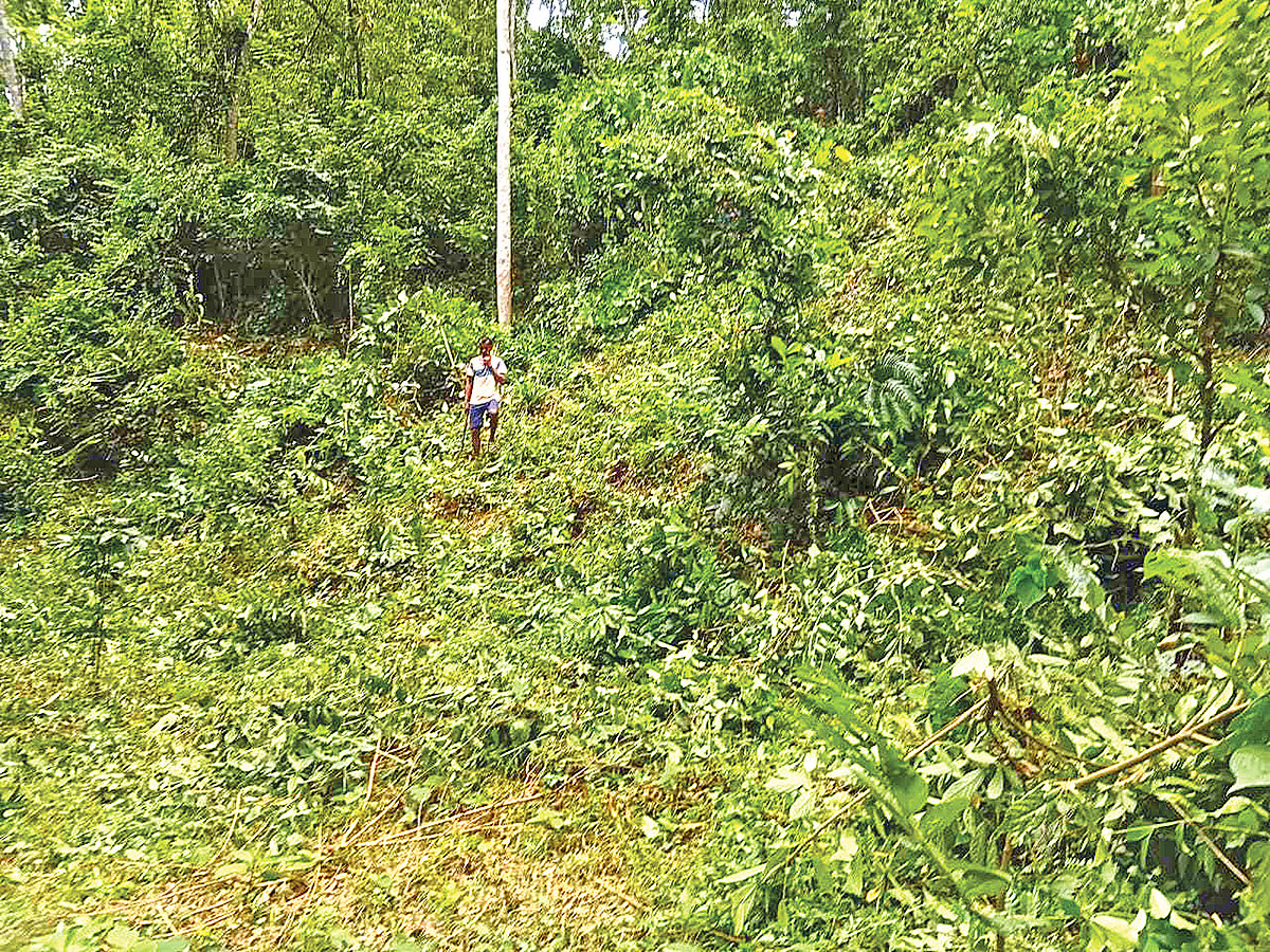 মৌলভীবাজারের কুলাউড়া বিরোধপূর্ণ জমির ‘দখলে’ এমপির মধ্যস্থতা, বিতর্ক