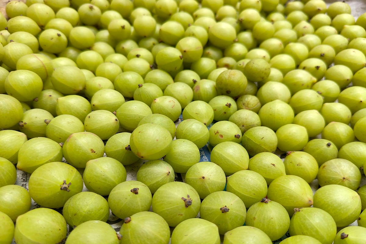 বাজারে বর্ষার বাহারি ফলের সমাহার