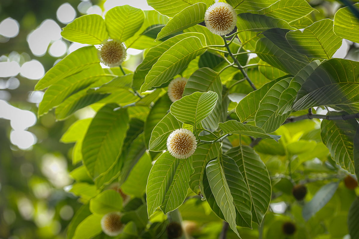একঝলক (৭ আগস্ট ২০২৬)