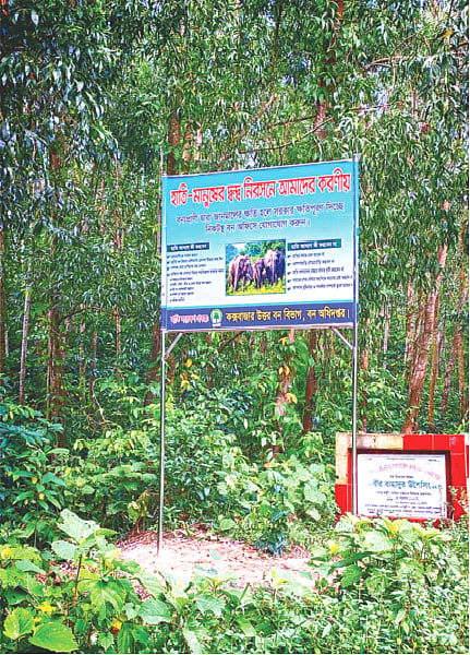 দখল হচ্ছে করিডর, সীমিত হচ্ছে হাতির বিচরণ
