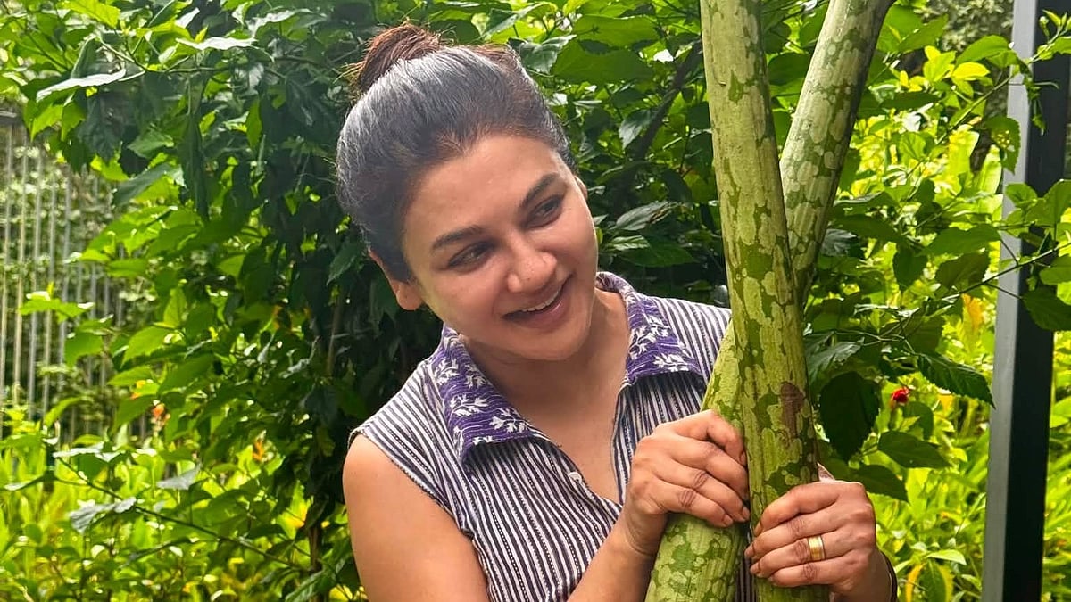 কলার মোচা দিয়ে ‘ক্রিসপি সালাদ’ বানানোর কথা ভাবছেন জয়া আহসান, দেখুন ১৪টি ছবি