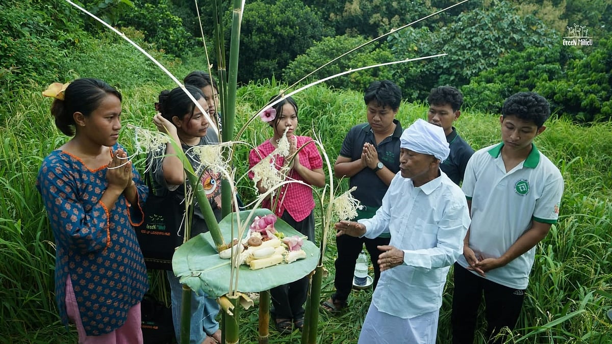 কারা পাখির জন্য জুমখেতে ফসল ফলাচ্ছেন, কী কী ফলছে সেখানে